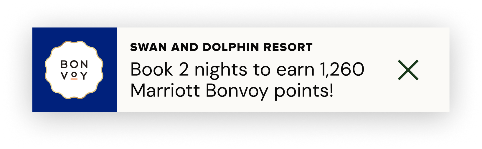 Swan and Dolphin Chat